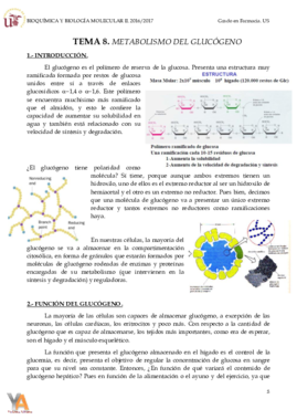 Wuolah Descarga TEMA 8 METABOLISMO DEL GLUCÓGENO pdf Apuntes de