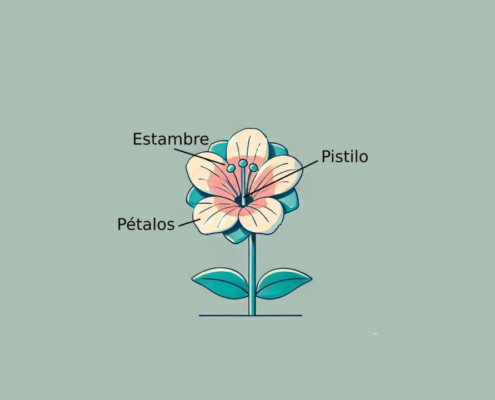 partes de una flor